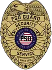 FSO Guard badge logo